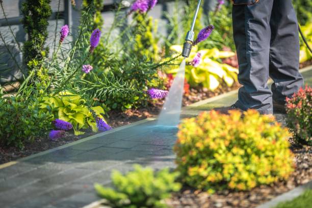 Best Animal Enclosure Cleaning  in Malakoff, TX