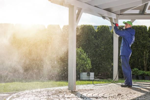 Best Soft Washing  in Malakoff, TX